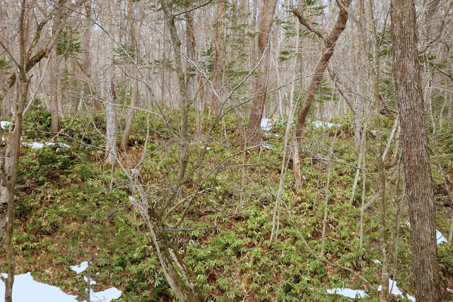 b0068572_22143947.jpg