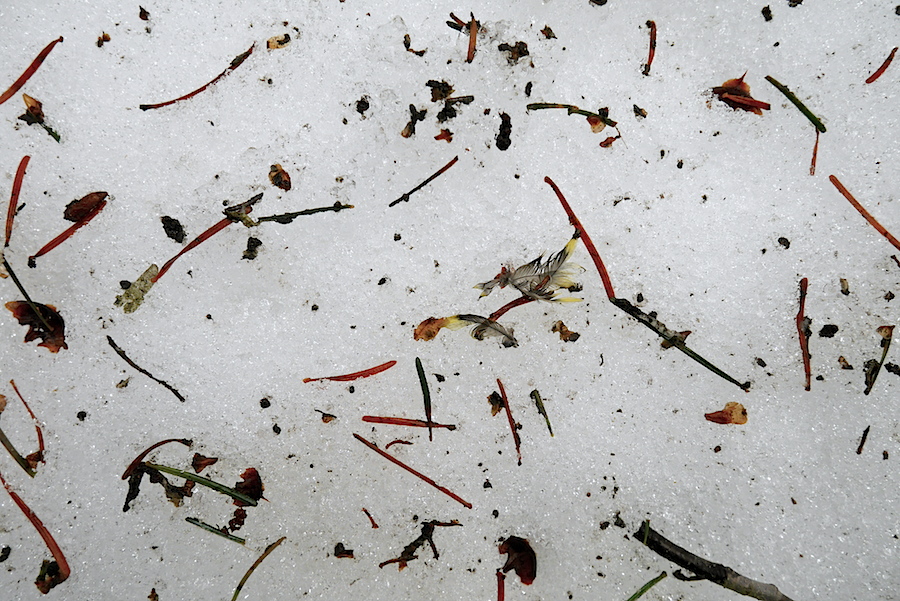 b0068572_22172688.jpg