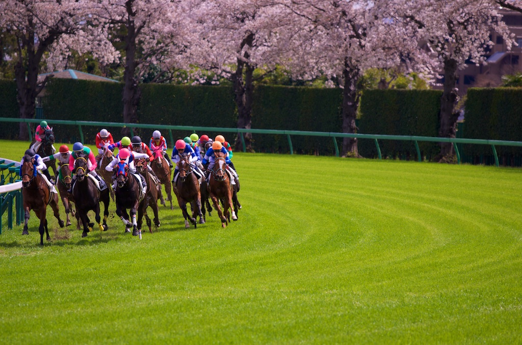 15 春のg1シリーズ 高松宮記念 第45回 ろーりんぐ らいふ 15 春のg1シリーズ 高松宮記念 第45回 ろーりんぐ らいふ