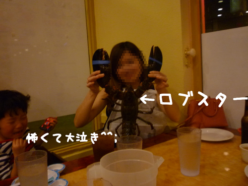 d0176374_1863212.png