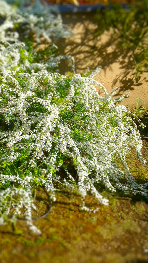 c0242791_01141125.jpg