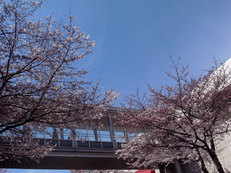 b0168993_13145092.jpg