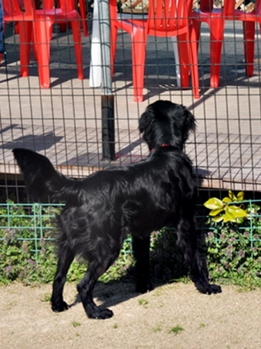 ラン♪ ラン♪ ラン♪_f0176499_14153643.jpg