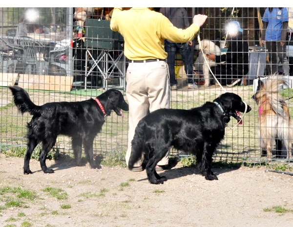 ラン♪ ラン♪ ラン♪_f0176499_14234069.jpg