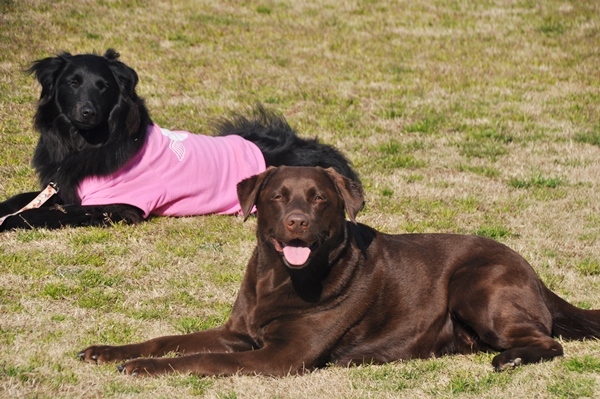 ラン♪ ラン♪ ラン♪_f0176499_14270694.jpg