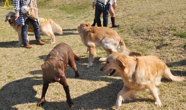 ラン♪ ラン♪ ラン♪_f0176499_14290295.jpg