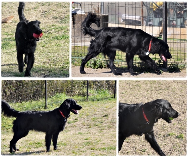 ラン♪ ラン♪ ラン♪_f0176499_14453860.jpg