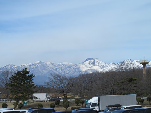 咲く桜を鑑賞に米沢から東京方面へ、３月２８日（春分・次候）桜始めて開く_c0075701_22232272.jpg