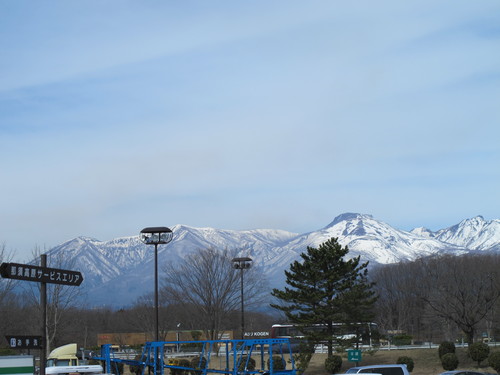 咲く桜を鑑賞に米沢から東京方面へ、３月２８日（春分・次候）桜始めて開く_c0075701_22233587.jpg