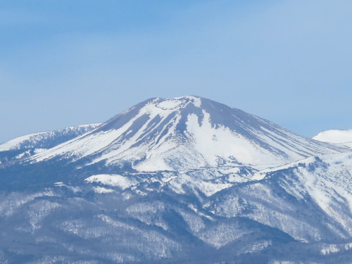 咲く桜を鑑賞に米沢から東京方面へ、３月２８日（春分・次候）桜始めて開く_c0075701_22234873.jpg