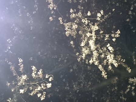 c0128303_94215.jpg