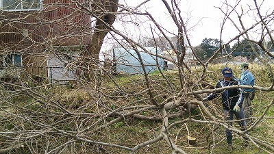 e0270403_1744377.jpg