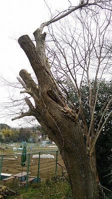 e0270403_17463015.jpg