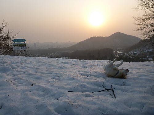 雪解け真っ盛り_f0082103_1136174.jpg