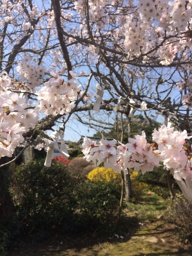 りあむ。5年経ちました。_c0172504_19312936.jpg