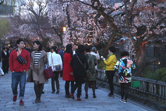 祇園白川夜桜 2015桜たより9_e0048413_21343810.jpg