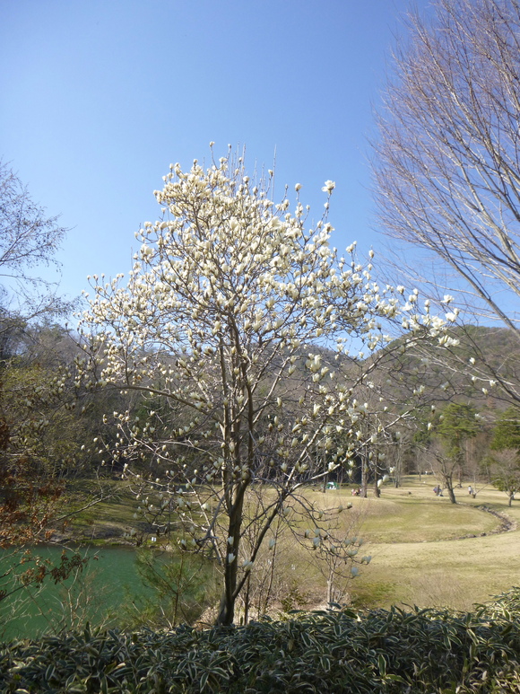 明王山 (380M)  に登る_d0170615_9495028.jpg