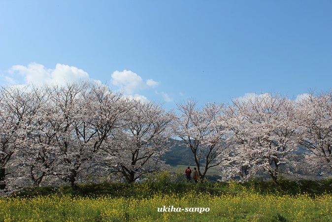 お花見散歩_f0347319_07232934.jpg