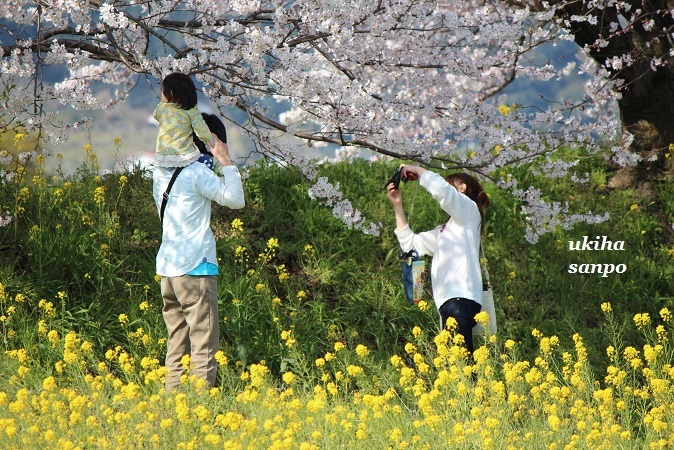 お花見散歩_f0347319_07234823.jpg