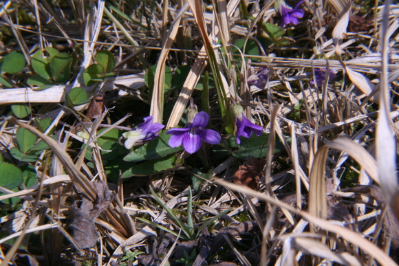 c0197220_1330949.jpg