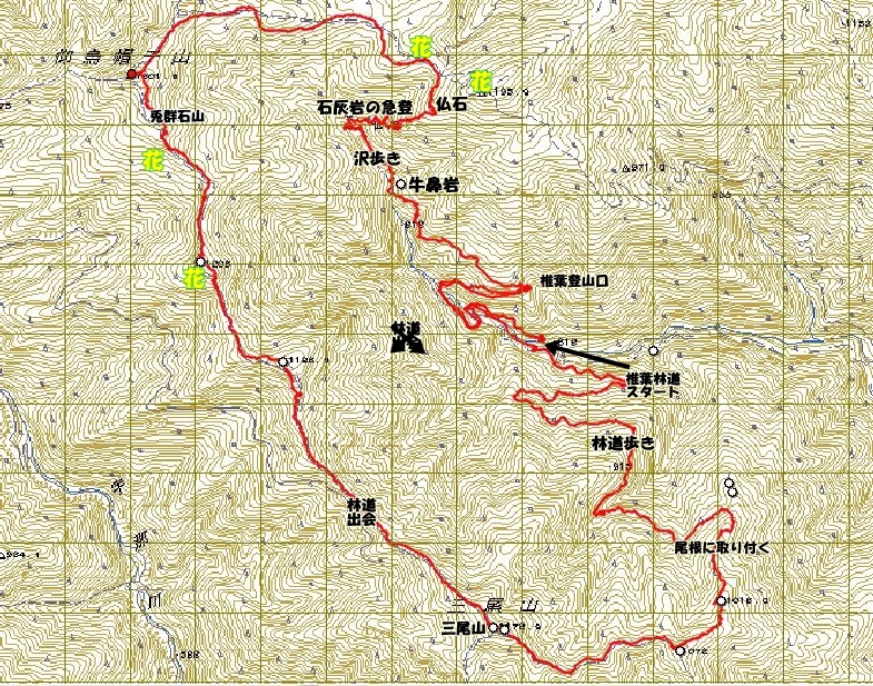 f0193521_1439417.jpg