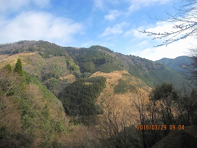 f0193521_1448183.jpg
