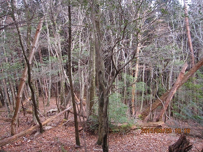 f0193521_14583567.jpg