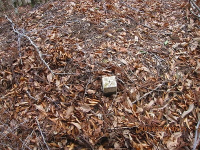 f0193521_145927100.jpg