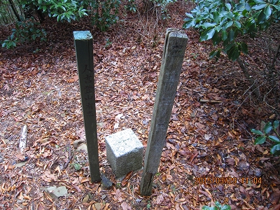 f0193521_1534219.jpg