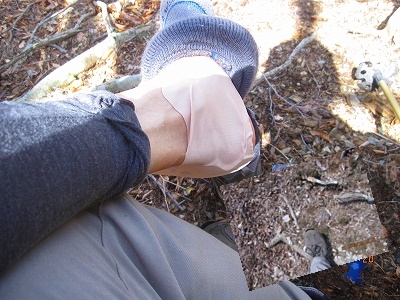 f0193521_1540356.jpg