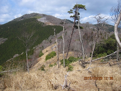 f0193521_16141298.jpg