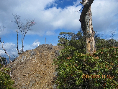 f0193521_1619587.jpg