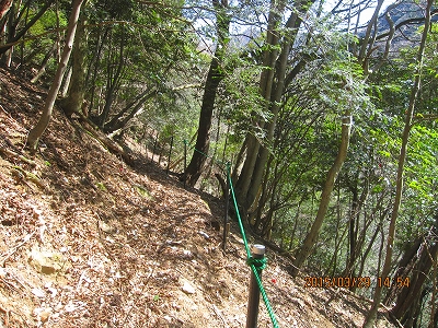 f0193521_1939332.jpg
