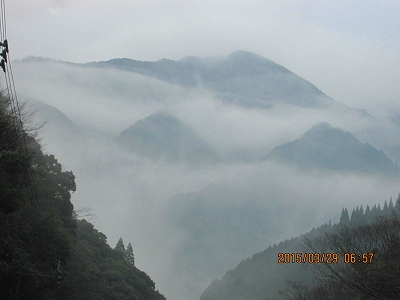 f0193521_8524372.jpg