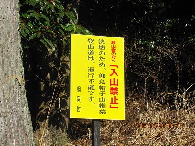 f0193521_8535423.jpg