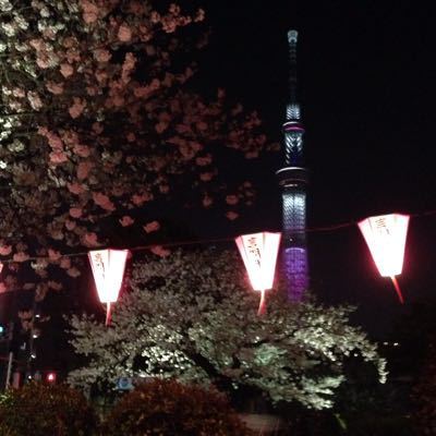 向島も。_a0194522_2245555.jpg
