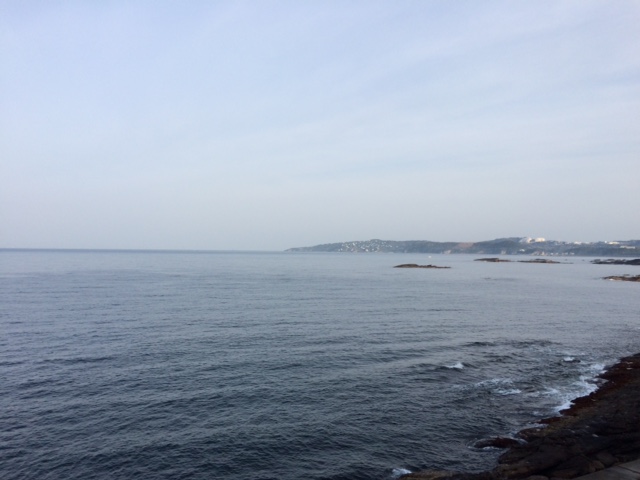 いい天気になりました_a0093423_13414561.jpg
