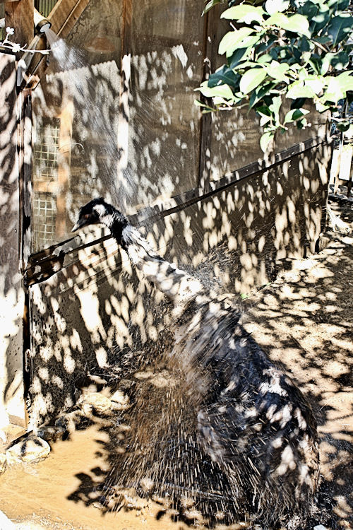 f0224624_554715.jpg