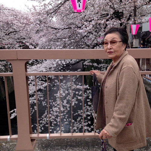目黒川にお花見に。_a0026127_1482351.jpg