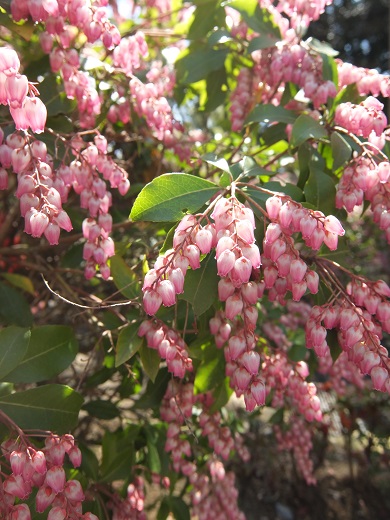 a0118928_051215.jpg