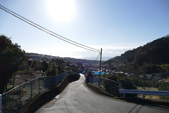 湯河原・幕山公園から城山を目指す　その３_c0196928_6363183.jpg