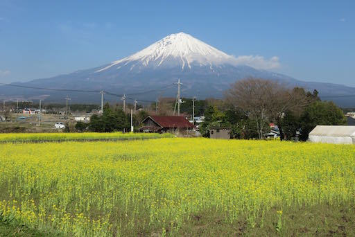 桜と富士山_d0323231_23281389.jpg