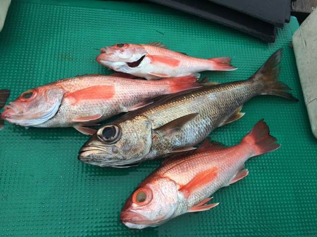 f0009238_1582726.jpg