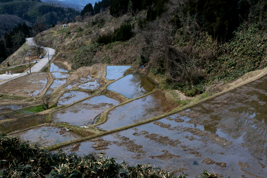 c0093046_8462188.gif
