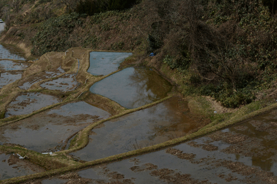 c0093046_8463772.gif