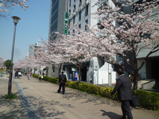 平成23年築杉並区売り戸建3,680万円_b0246953_19410867.jpg