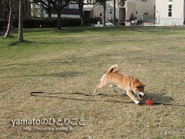 a0286855_18311892.gif