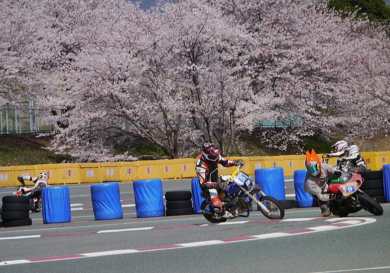モタサン開幕エントリー締切間近!!_f0178858_1243184.jpg