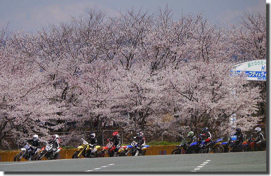 モタサン開幕エントリー締切間近!!_f0178858_1243364.jpg