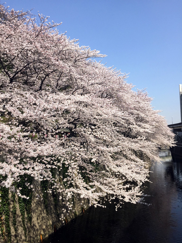 c0048265_15121890.jpg